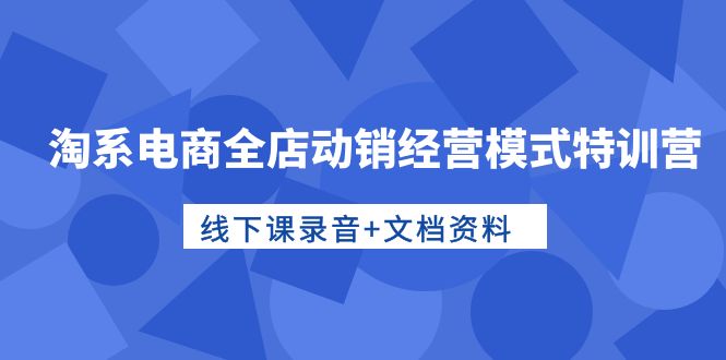 最新国内电商项目:淘系电商全店动销经营模式特训营,线下课录音+文档资料