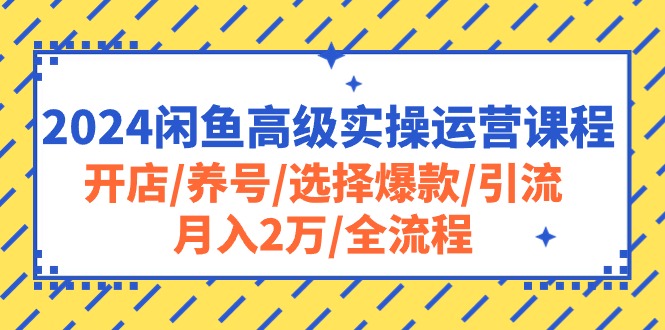 赚钱无货源项目,2024闲鱼高级实操运营课程:开店/养号/选择爆款/引流/月入2万/全流程
