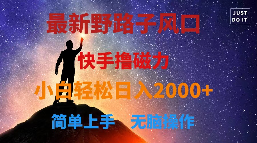 热门热门给力项目项目,最新风口!快手撸磁力,野路子,小白无脑操作日入2000+