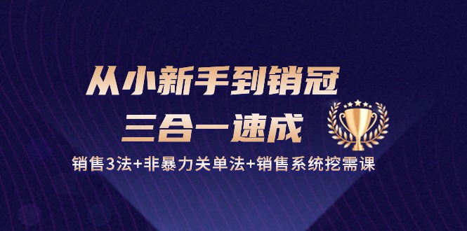 实战营销-成交项目,从小新手到销冠 三合一速成:销售3法+非暴力关单法+销售系统挖需课 (27节)