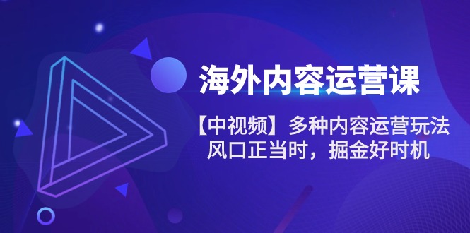 最新跨境电商项目,海外内容 运营课【中视频】多种内容运营玩法 风口正当时 掘金好时机-101节