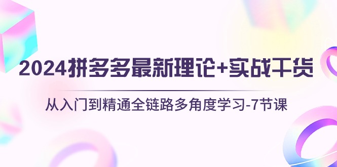实战国内电商项目,2024拼多多 最新理论+实战干货,从入门到精通全链路多角度学习-7节课