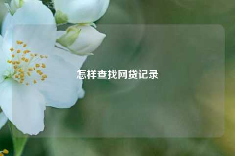怎样查找网贷记录