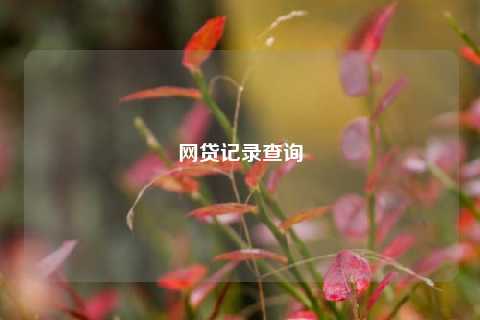 网贷记录查询